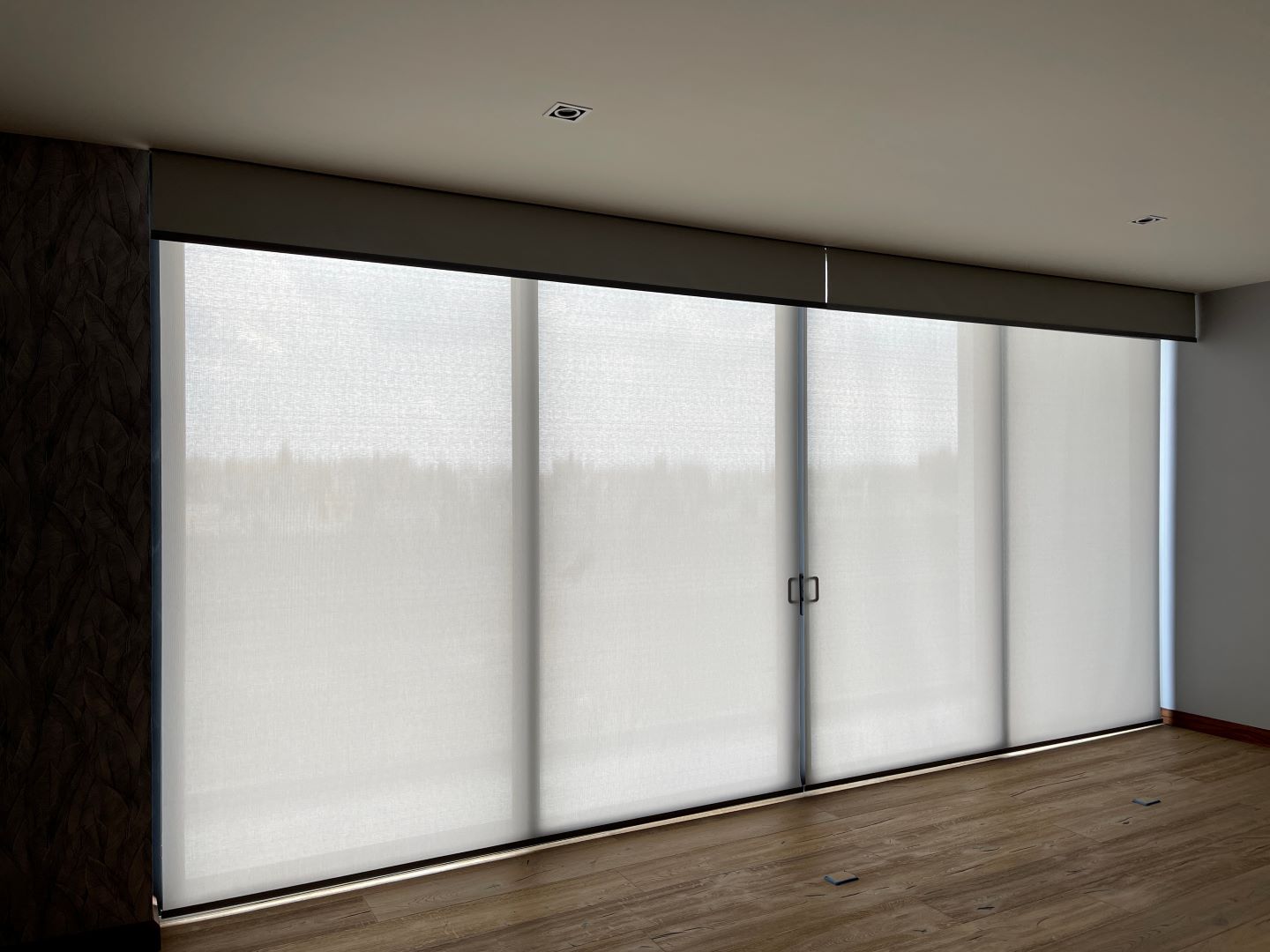 Elegant shades with roller blinds in a big window