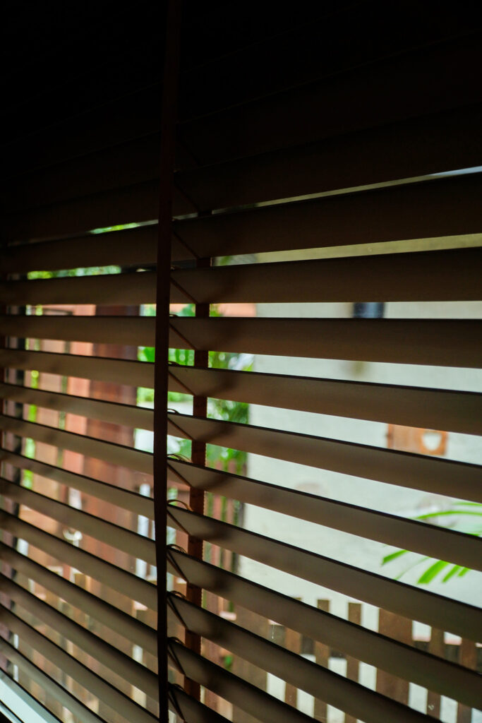 Venetian Blinds