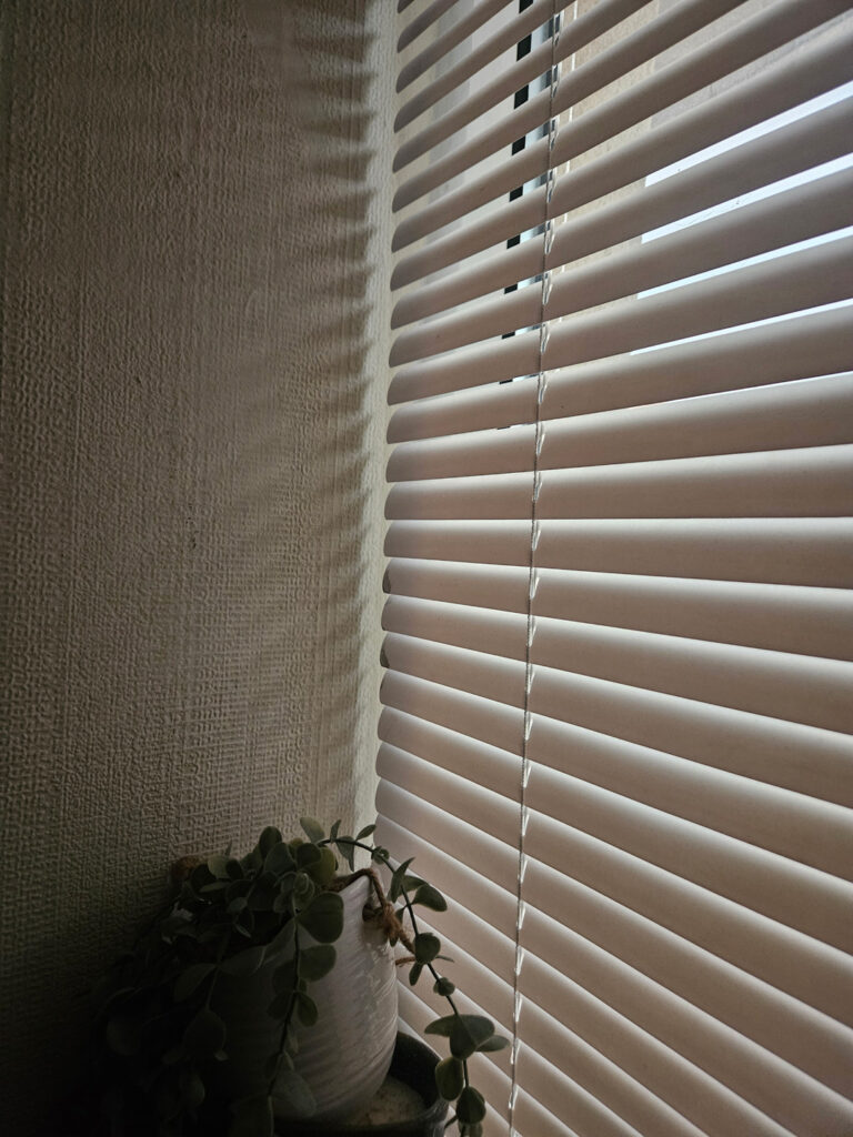 Venetian Blinds