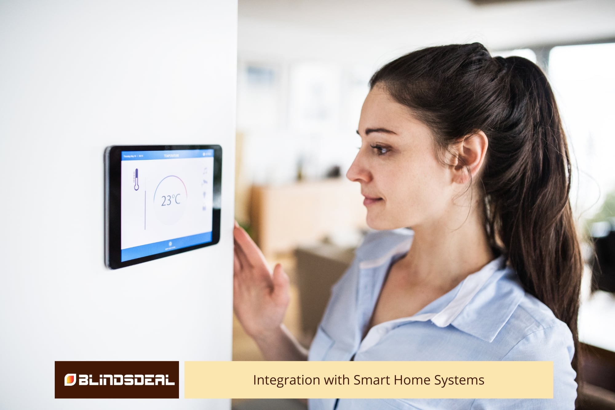 Integration with Smart Home Systems