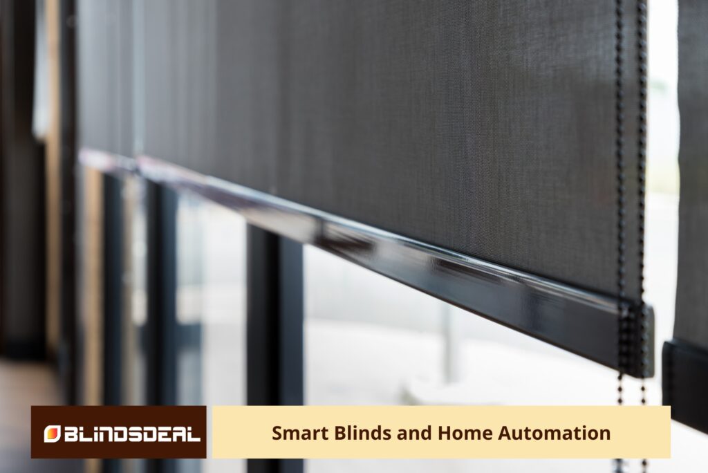 A close-up, angled view of dark grey mesh roller blinds installed on large windows