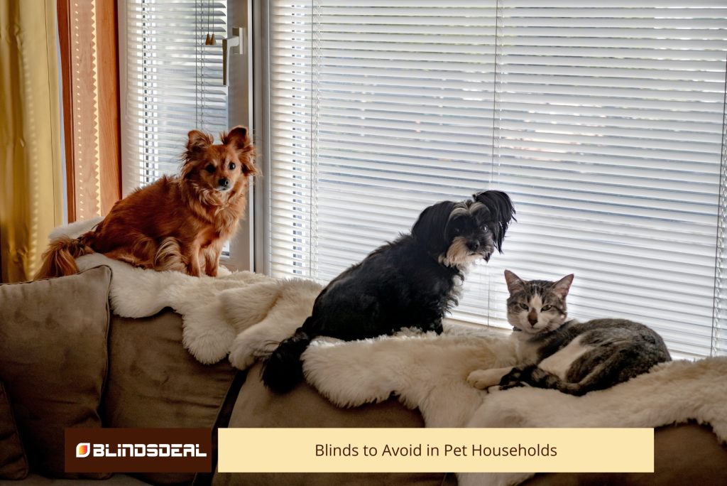 Blinds to Avoid in Pet Households