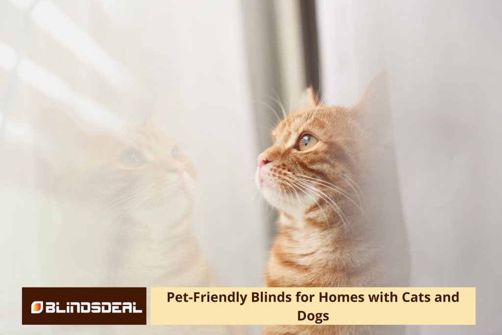 A close-up, profile shot of an orange tabby cat peering out of a window through sheer white curtains