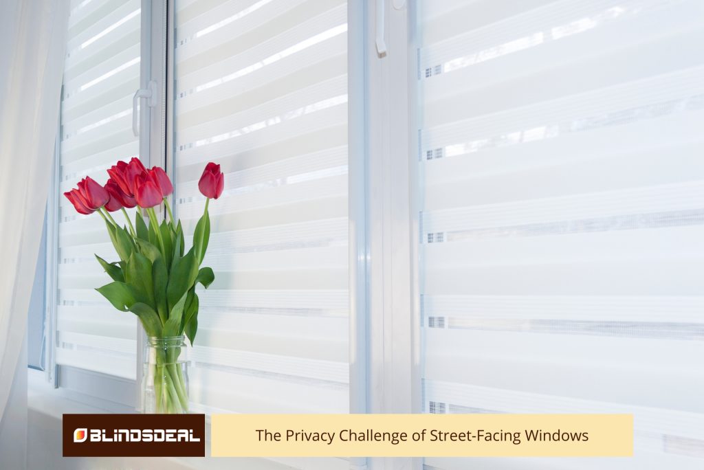 The Privacy Challenge of Street-Facing Windows