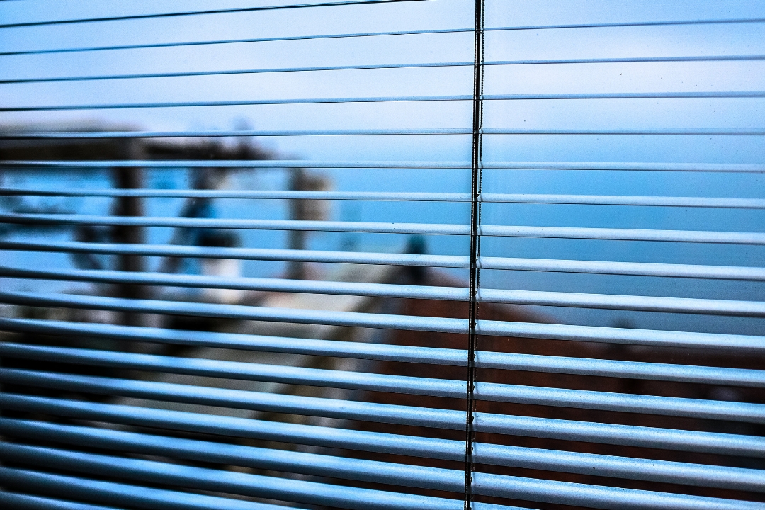 Timber venetian blinds in a Bayside Melbourne living room, slats angled to filter afternoon bay light