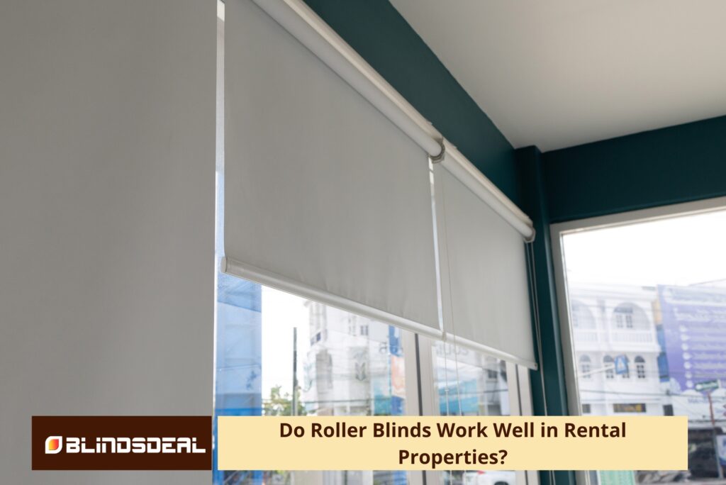 Neutral roller blinds mounted on modern windows in a rental property interior.